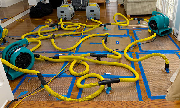 Professional Crawl Space Water Removal technician working in Bardwell, TX